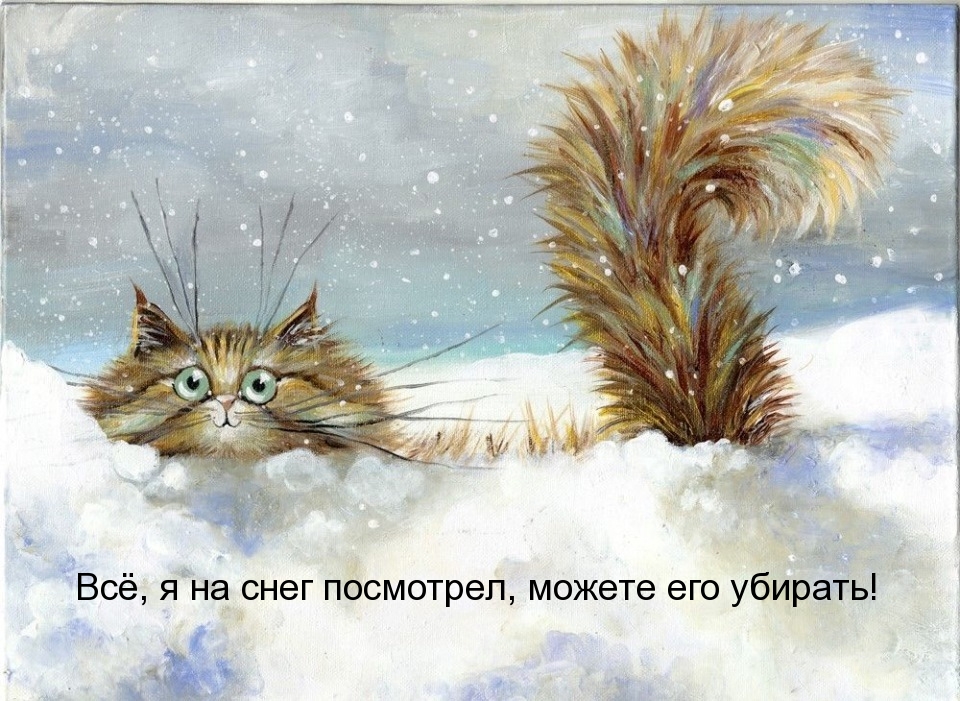 Всё, я на снег посмотрел, можете его убирать!