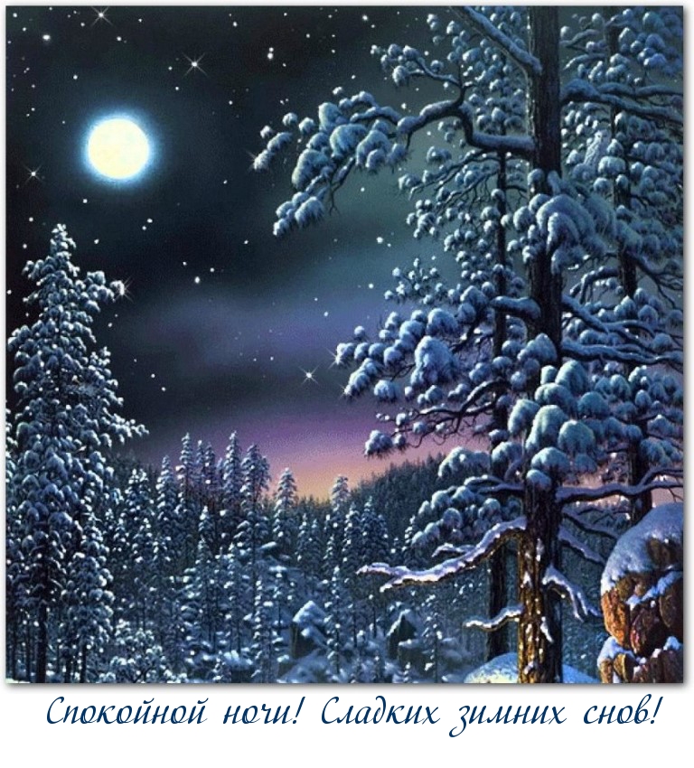 Спокойной ночи! Сладких зимних снов!