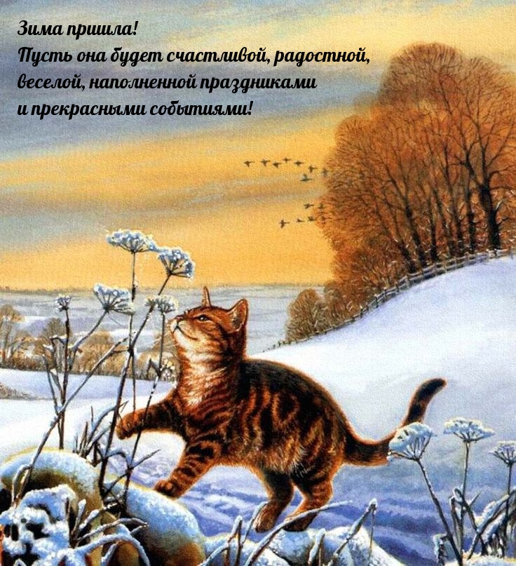 Зима пришла! Пусть она будет счастливой, радостной