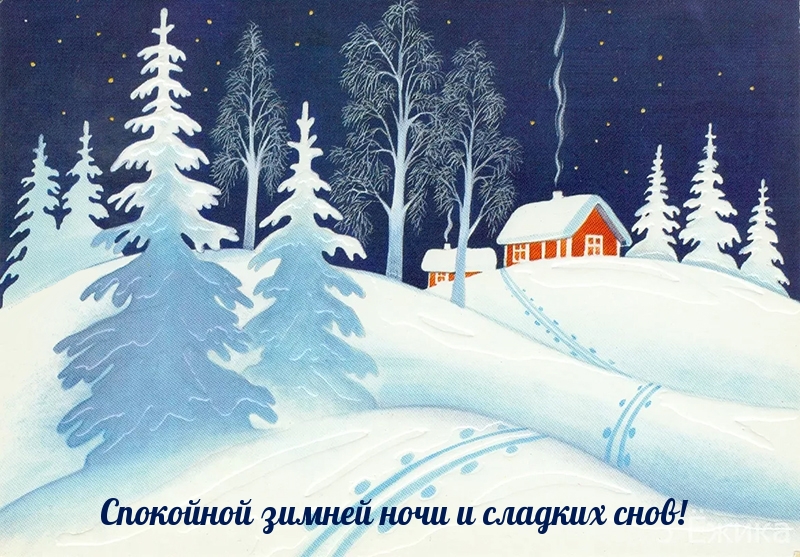 Спокойной зимней ночи и сладких снов!