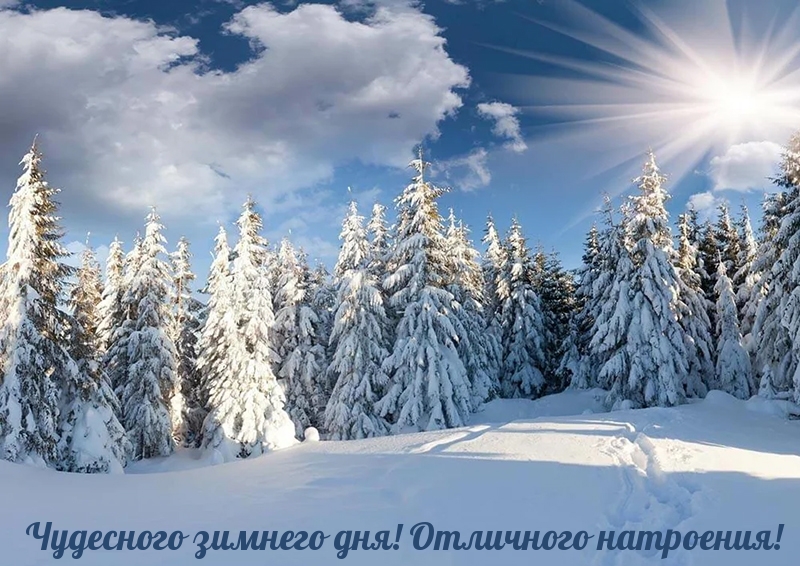 Чудесного зимнего дня! Отличного натроения!