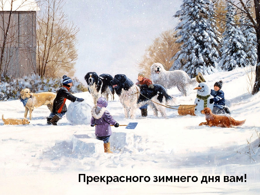 Прекрасного зимнего дня вам!