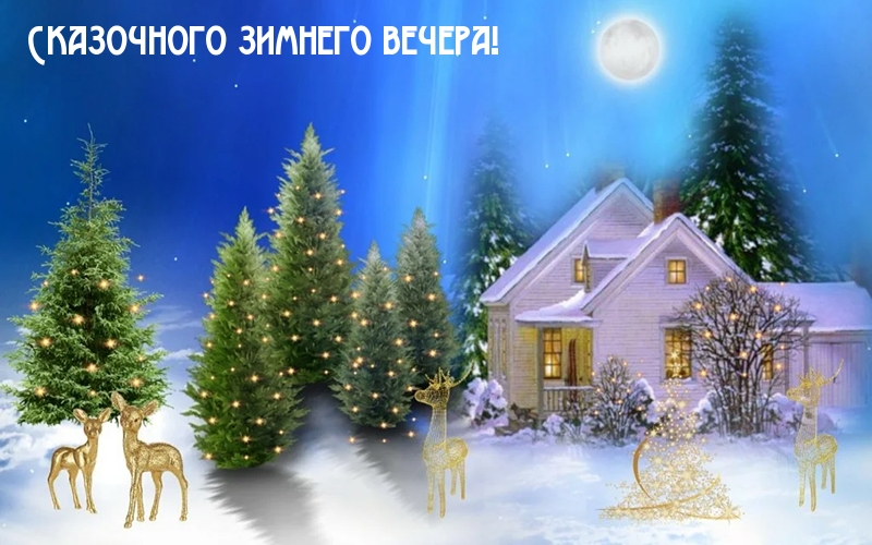 Сказочного зимнего вечера!
