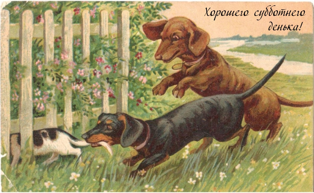 Хорошего субботнего денька!