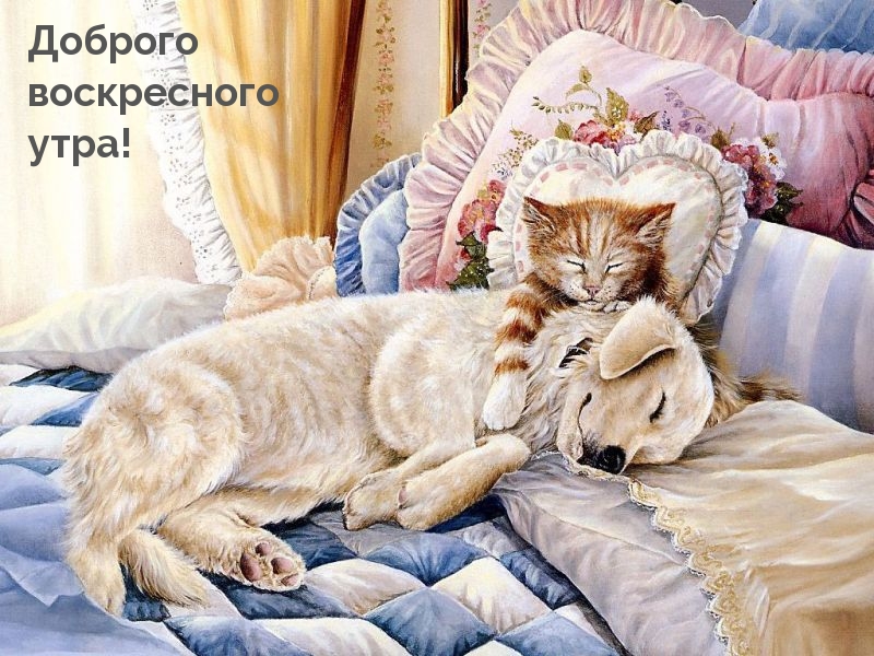 Доброго воскресного утра!