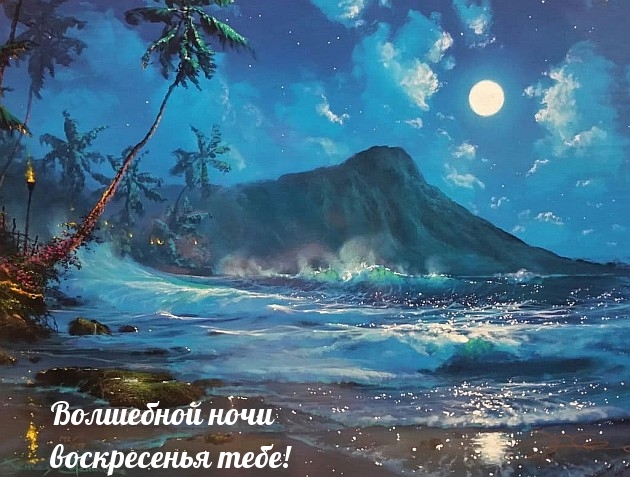Волшебной ночи воскресенья тебе!