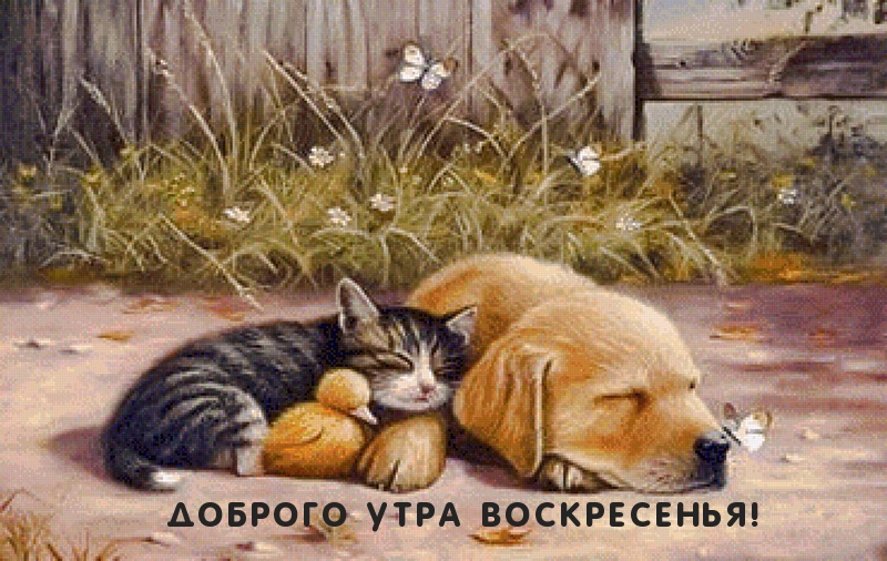 Доброго утра воскресенья!