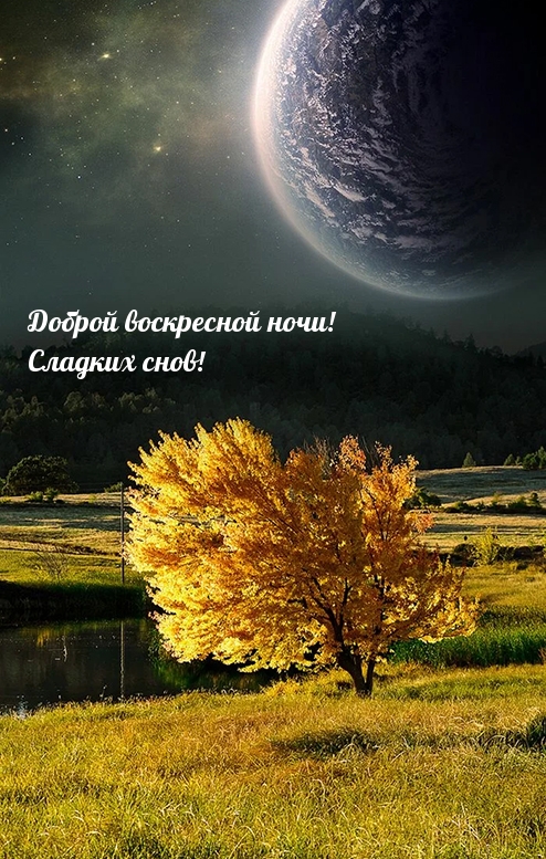 Доброй воскресной ночи! Сладких снов!