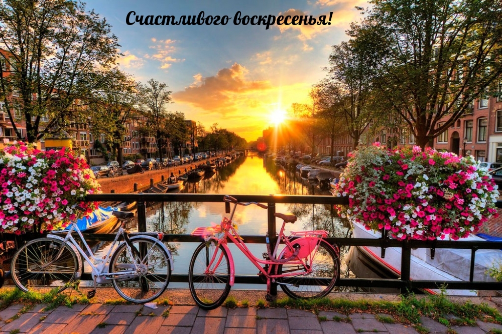 Счастливого воскресенья!