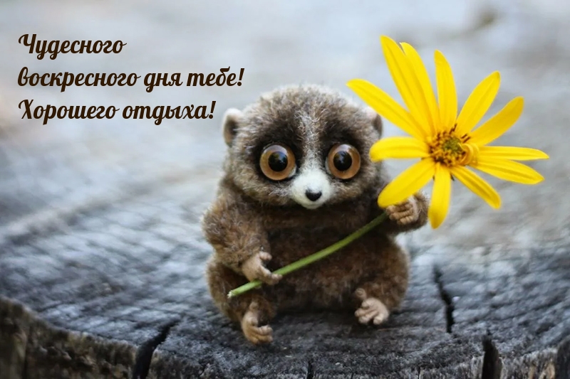 Чудесного воскресного дня тебе!