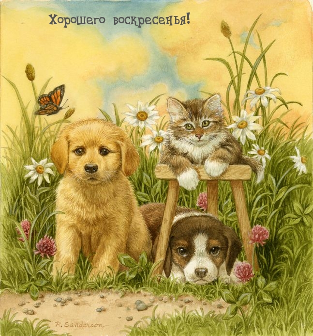 Хорошего воскресенья!