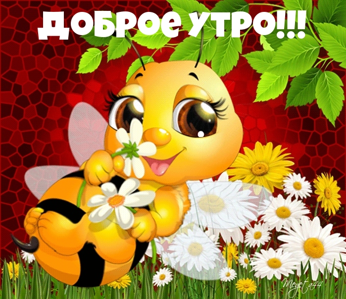 Доброе утро!