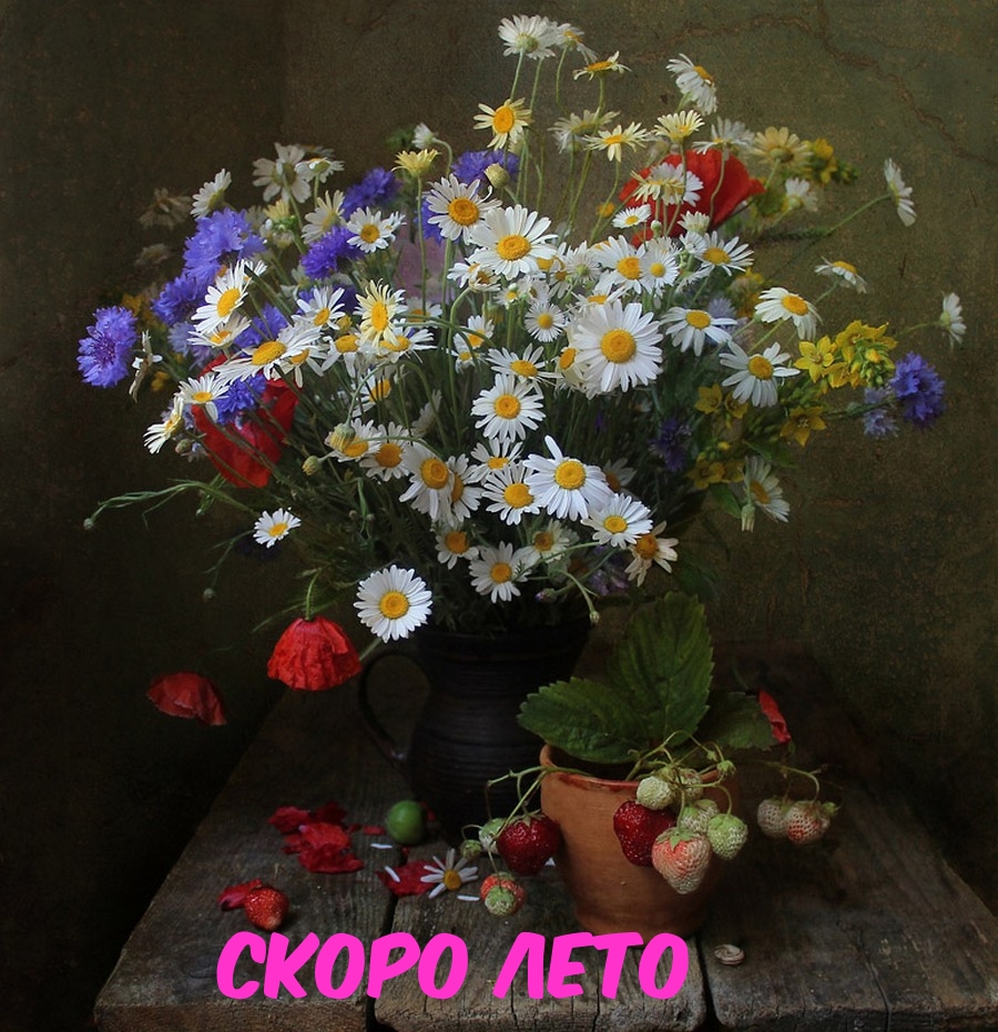 Скоро лето