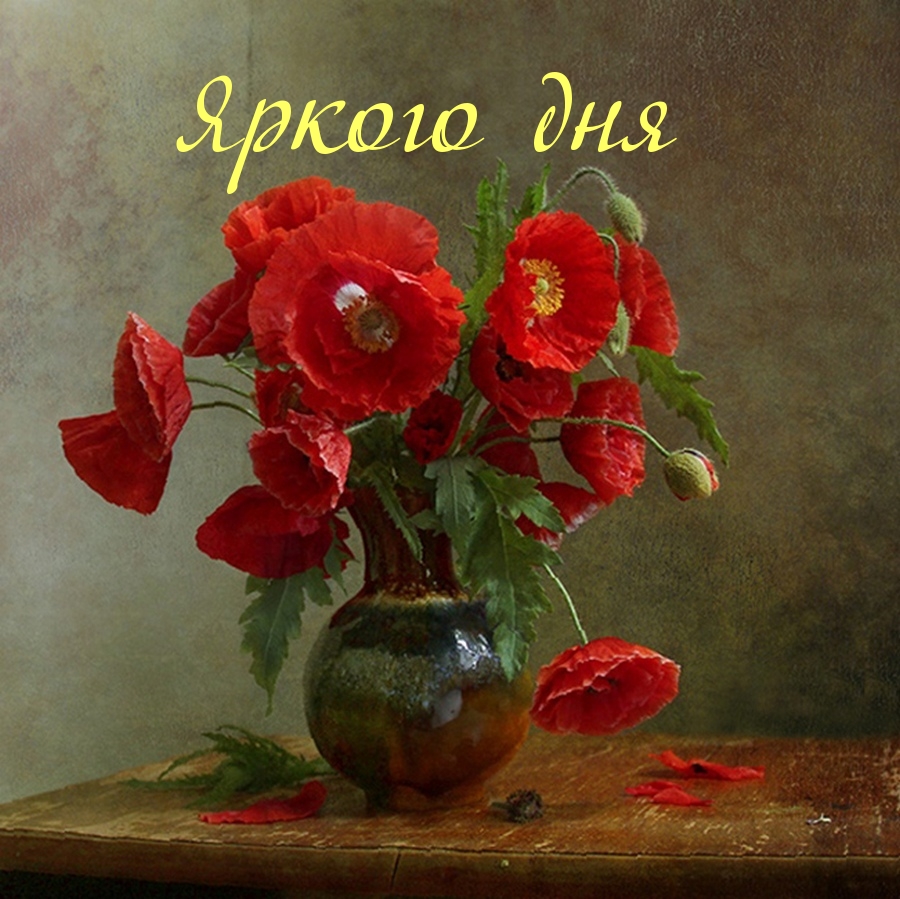 Яркого дня