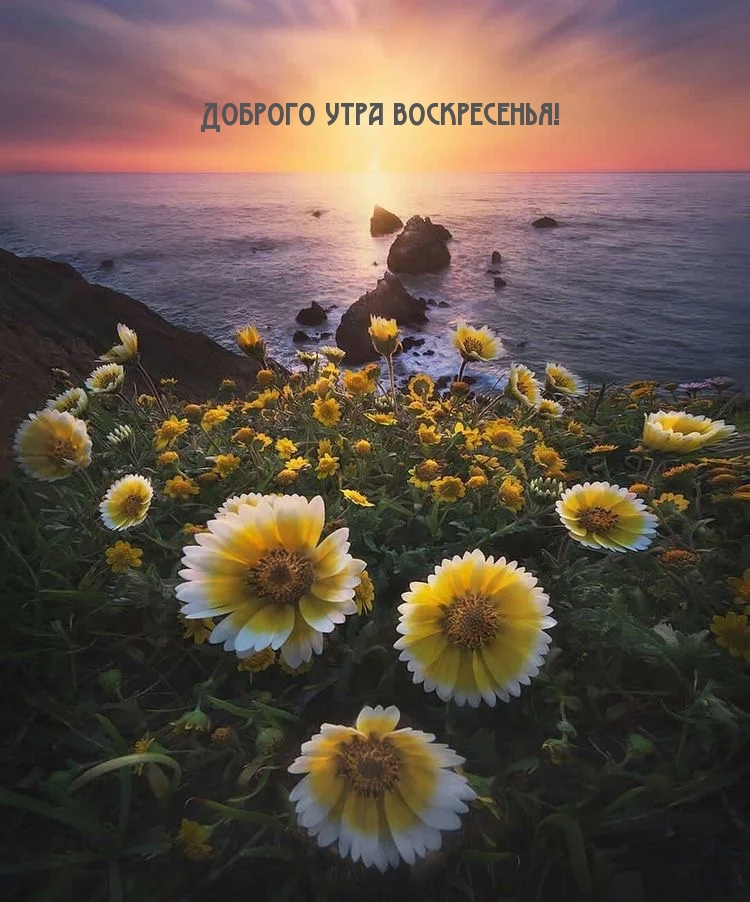 Доброго утра воскресенья!