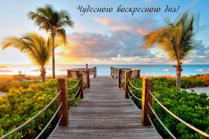 Чудесного воскресного дня!