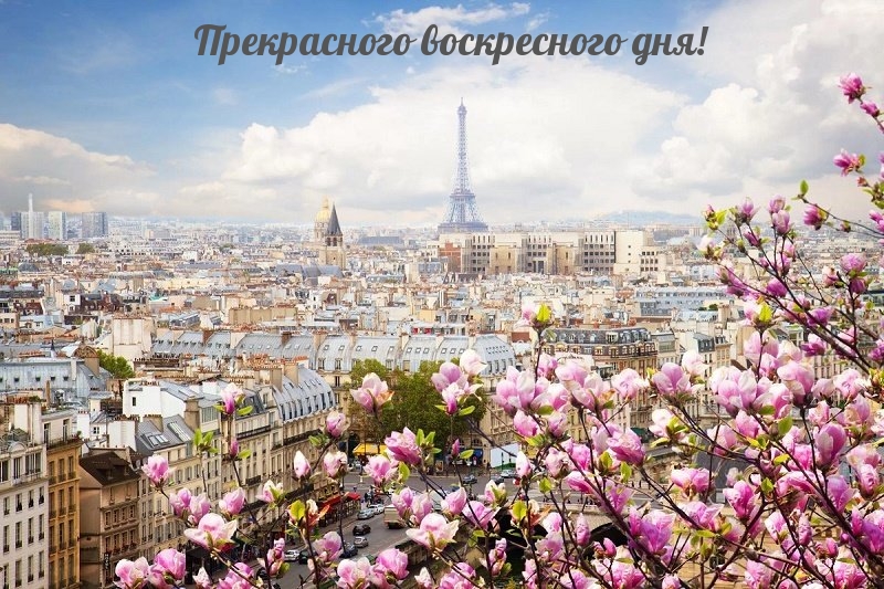Прекрасного воскресного дня!