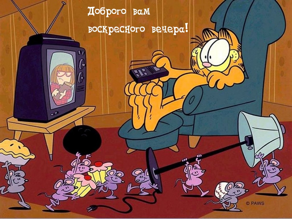 Доброго вам воскресного вечера!