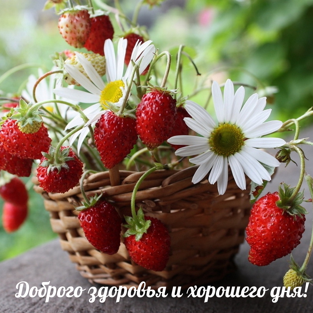 Доброго здоровья и хорошего дня!