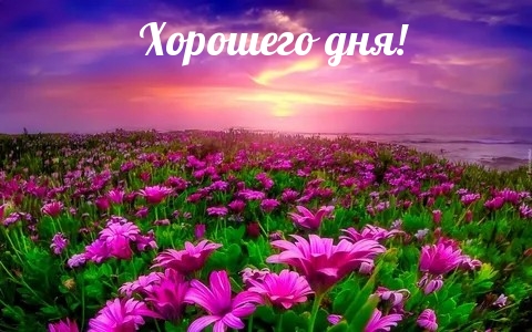 Хорошего дня!