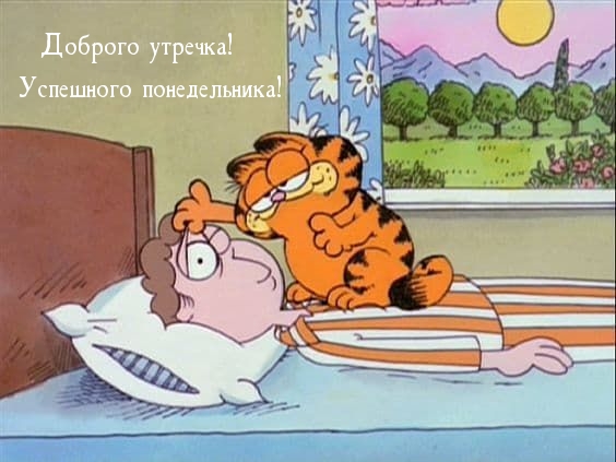 Доброго утречка! Успешного понедельника!