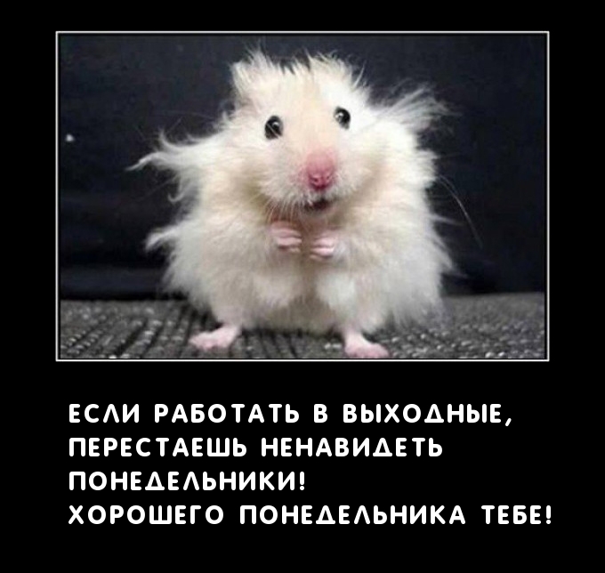 Если работать в выходные, перестаешь ненавидеть понедельники!