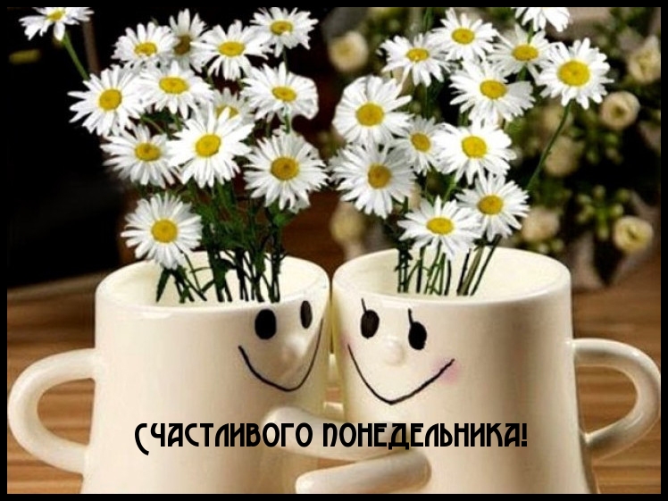 Счастливого понедельника!