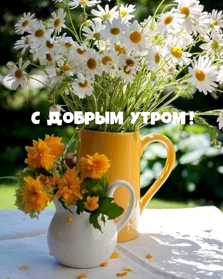 С добрым утром!