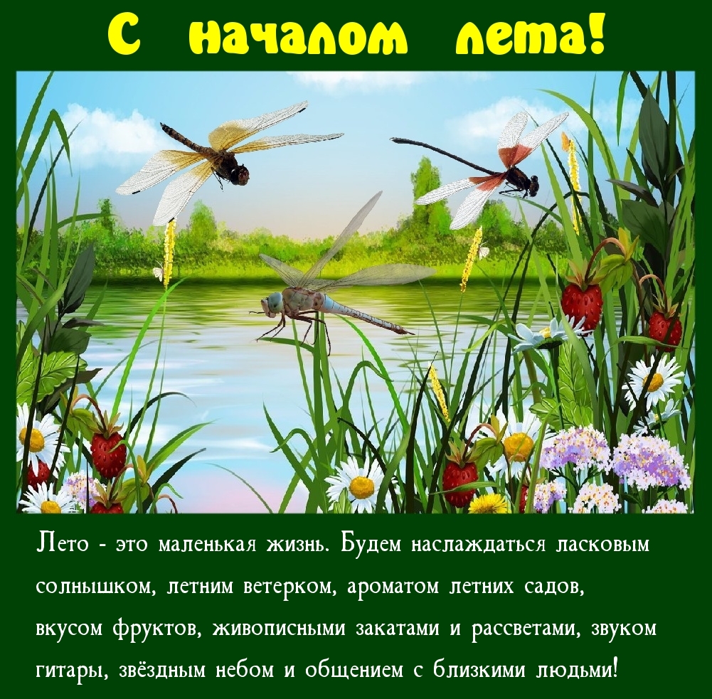 С началом лета! Лето — это маленькая жизнь)