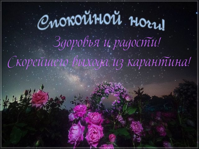 Спокойной ночи! Скорейшего выхода из карантина!