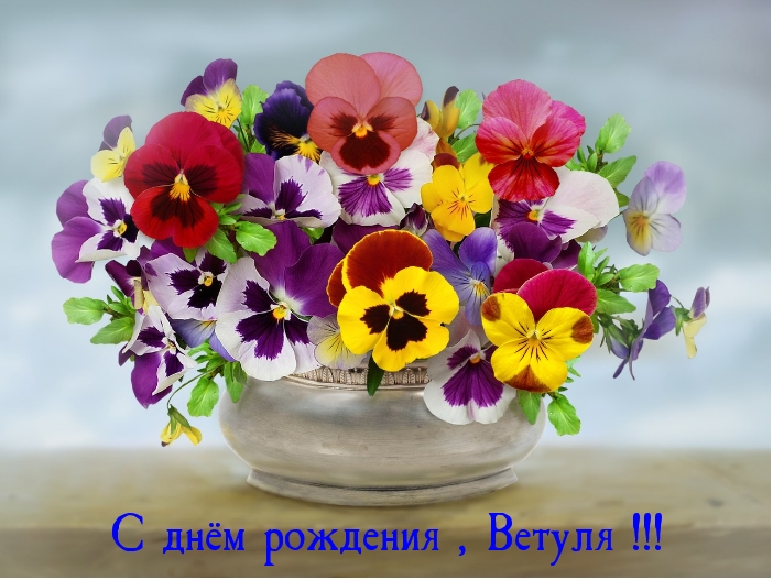 С днём рождения , Ветуля!