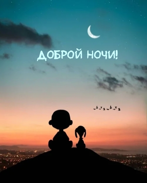 ДОБРОЙ НОЧИ!