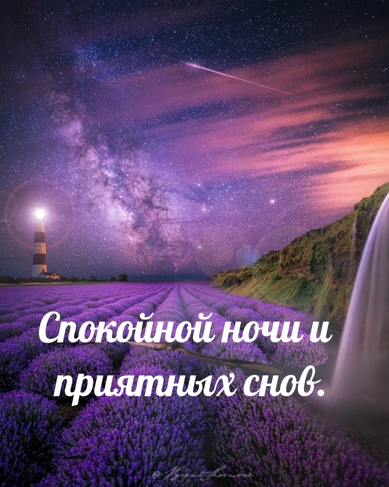 Спокойной ночи и приятных снов.