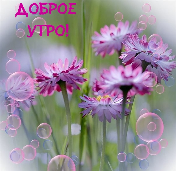 ДОБРОЕ УТРО!
