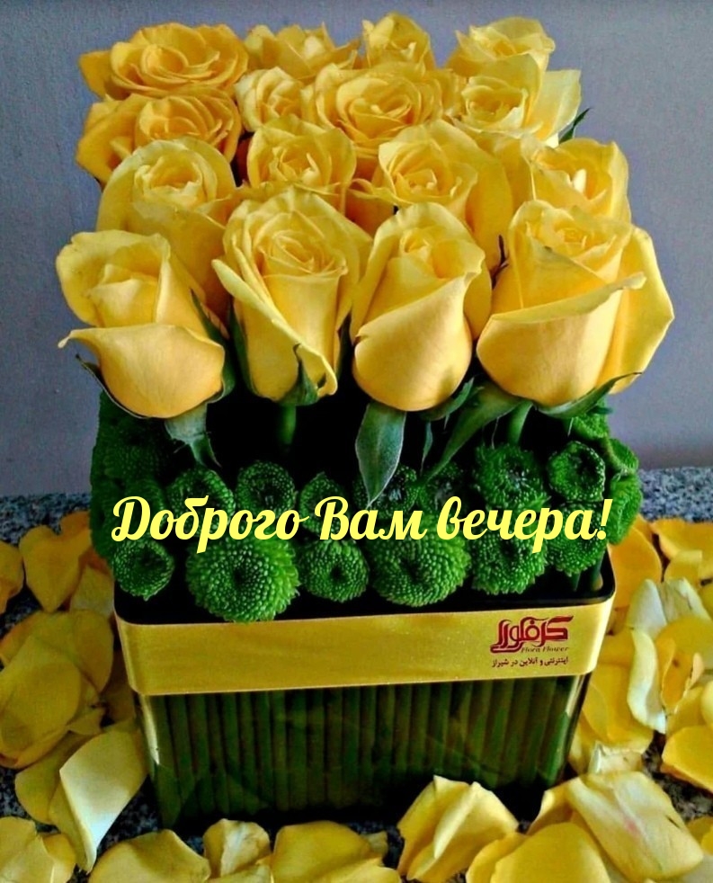 Доброго Вам вечера!