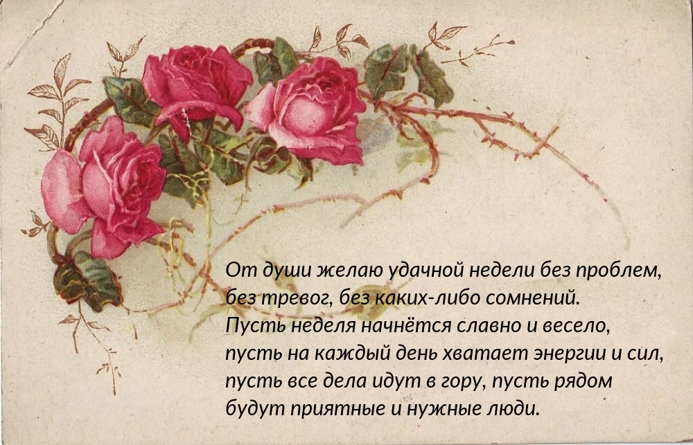 Пусть неделя начнётся славно и весело