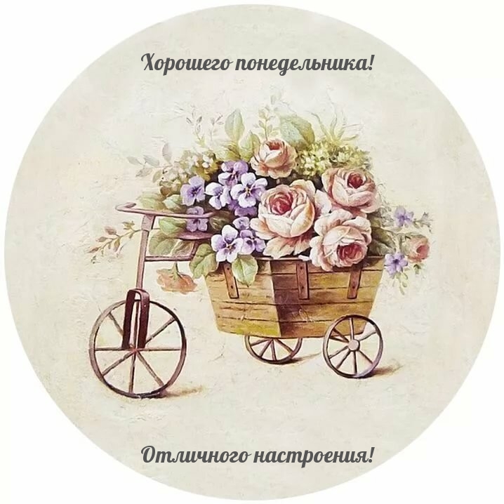 Хорошего понедельника! Отличного настроения!