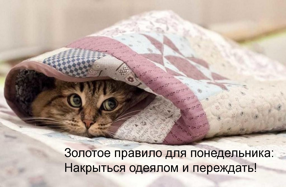 Накрыться одеялом и переждать понедельник