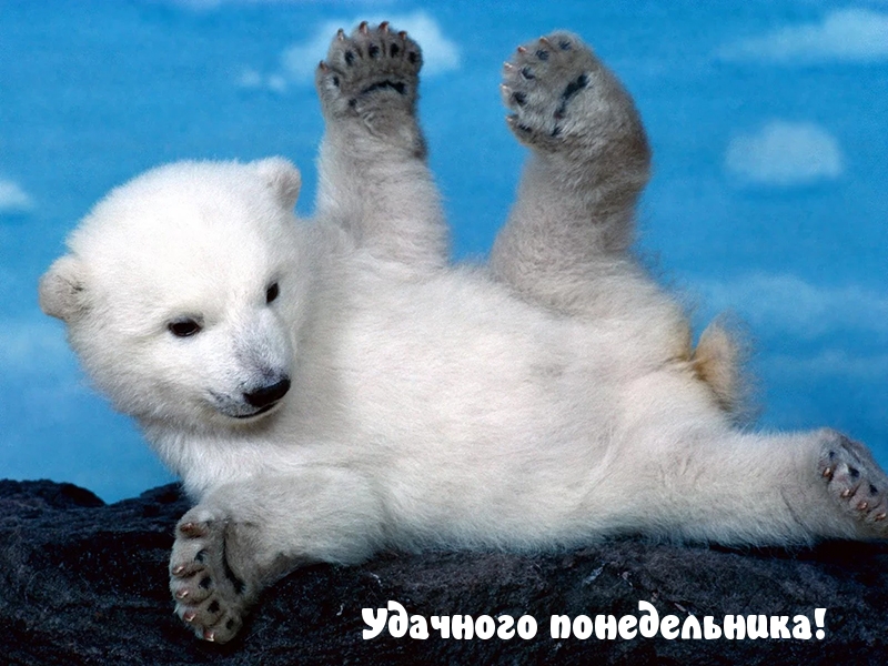 Удачного понедельника!