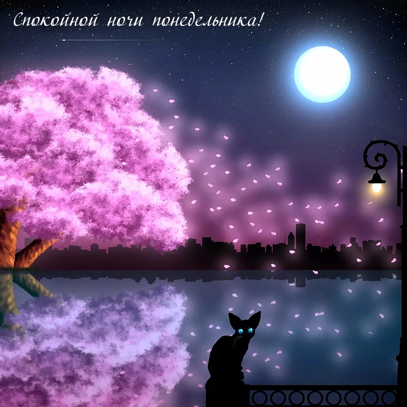 Спокойной ночи понедельника!