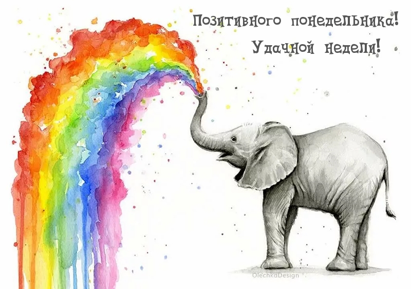 Позитивного понедельника! Удачной недели!