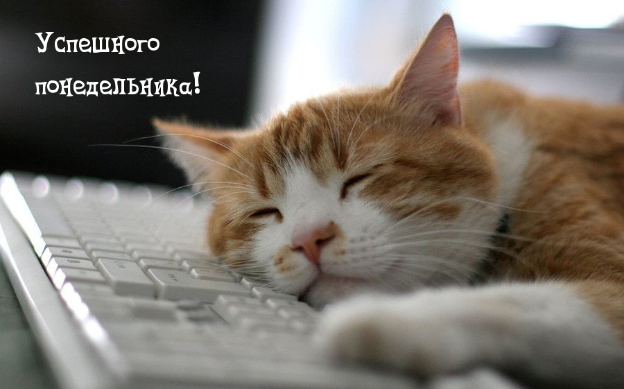 Успешного понедельника!