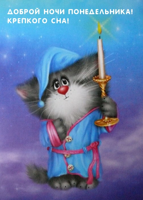 Доброй ночи понедельника! Крепкого сна!