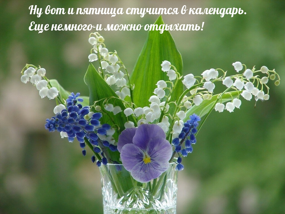 Ну вот и пятница стучится в календарь