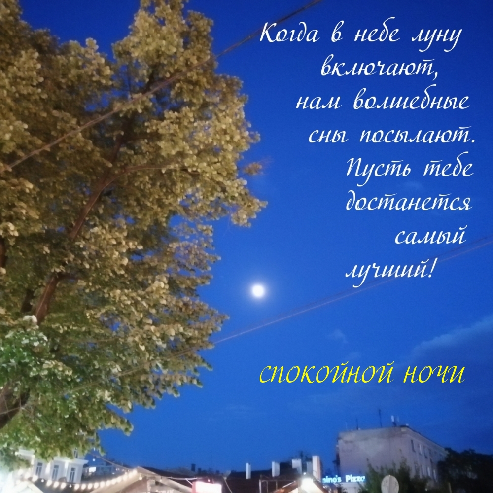 СПОКОЙНОЙ НОЧИ