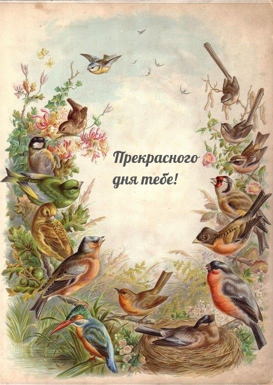 Прекрасного дня тебе!