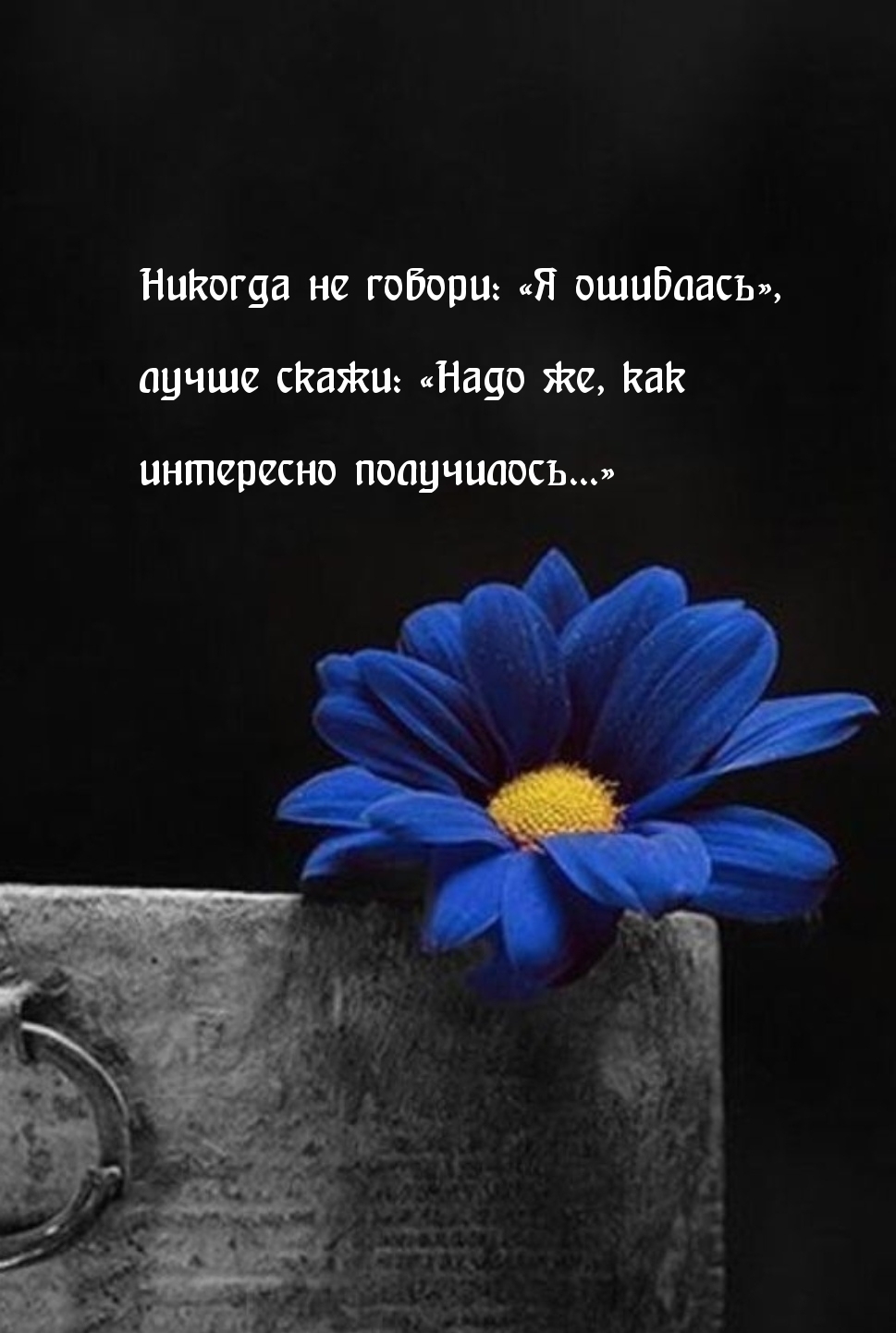 Надо же, как   интересно получилось