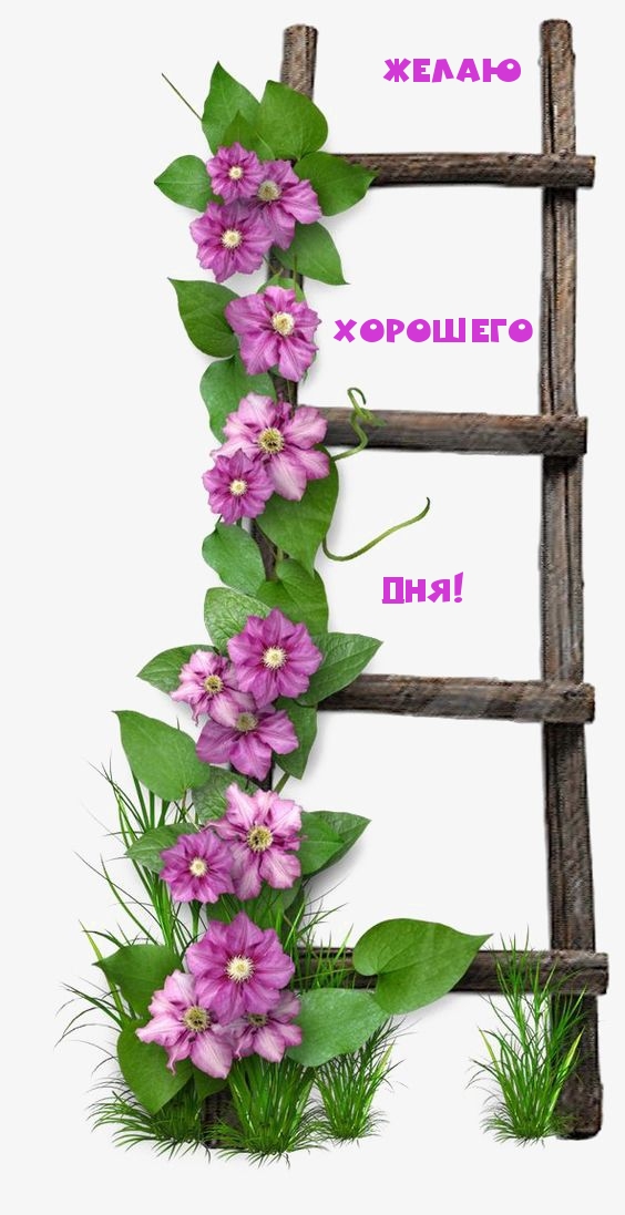 Желаю хорошего дня!