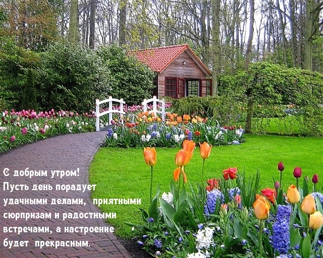 С добрым утром! Пусть день порадует удачными делами