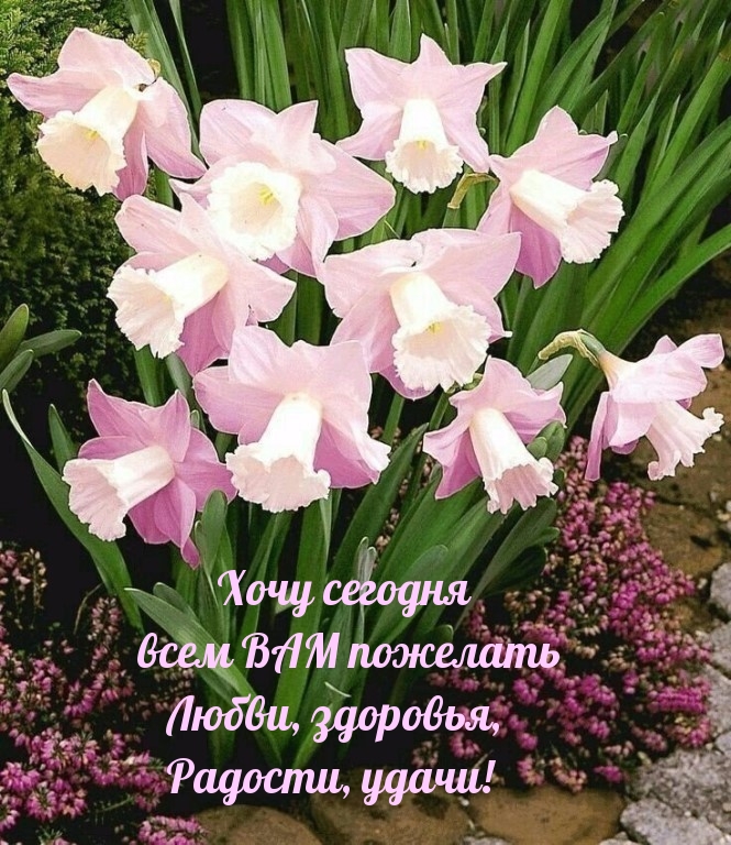 Хочу сегодня всем ВАМ пожелать Любви, здоровья, Радости, удачи!